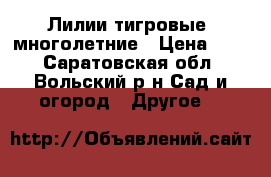 Лилии тигровые, многолетние › Цена ­ 50 - Саратовская обл., Вольский р-н Сад и огород » Другое   